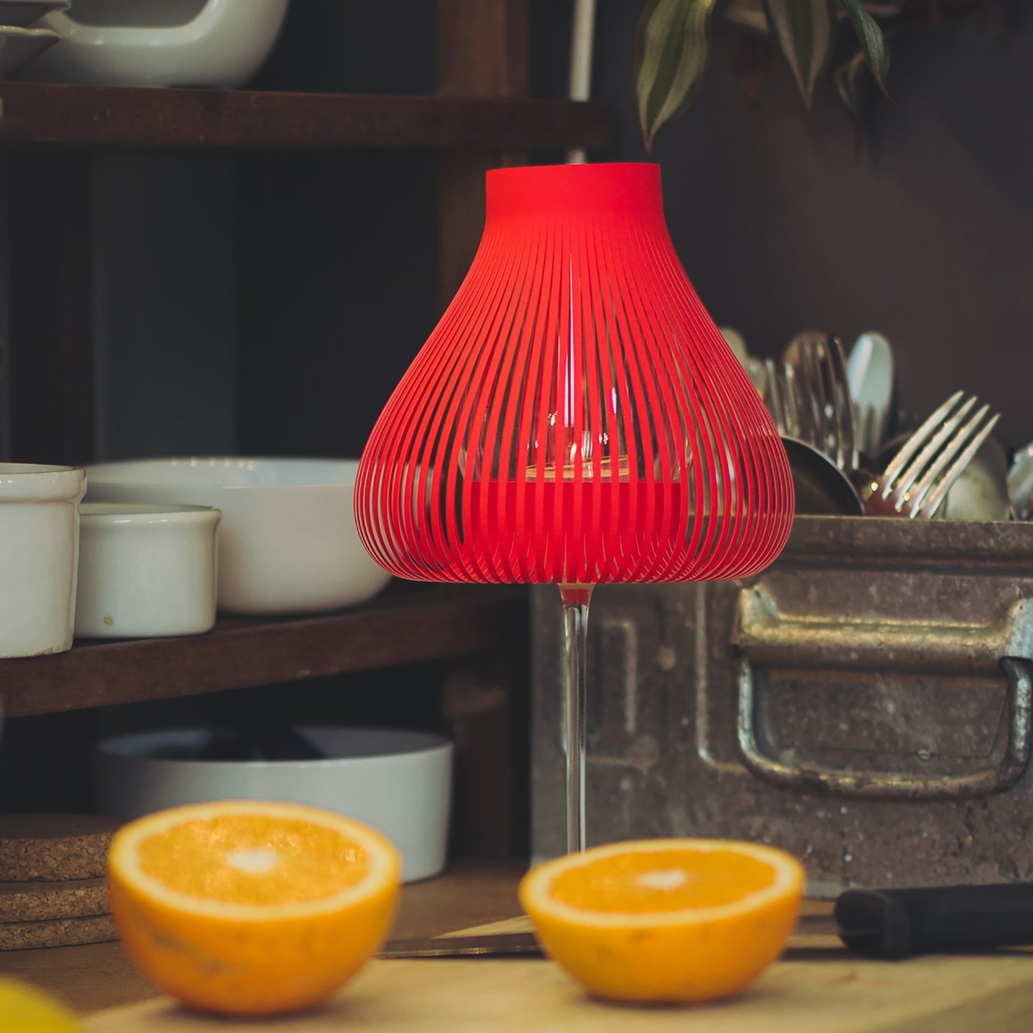 Miss Molly rot - Andrea Moseler